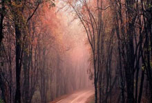 开云网址-深圳壹秘科技取得基于视觉算法的网球场地类型确定专利