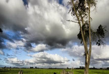 开云新闻-2025“人工智能＋电竞”创新应用大赛决赛圆满落幕